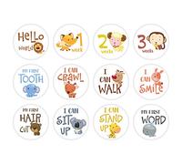 Cartes photo fantaisie pour la famille - Décoration de première fête - Enfants - Bébé garçon et fille - Ma 1ère année - 12 mois - Cadeaux de nouveau-né - Autocollants mensuels pour garçons et filles