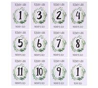 Cartes photo fantaisie pour la famille, décoration de première fête, enfants, bébé, garçon, fille, ma 1ère année, 12 mois, cadeaux de nouveau-né, autocollants Oh Baby