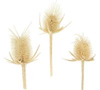Cartes pointues blanchies 0,5kg - Fleurs séchées naturelles pour une décoration élégante et des fleurs de deuil