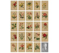 Cartes Postales,24 Cartes Postales Vintage,Cartes Postales Fleurs,Cartes Postales Nature avec Beau Langage Floral Imprimé,Amour,Amitié,Vie