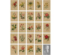 Cartes Postales,24 Cartes Postales Vintage,Fleurs,Nature Avec Beau Langage Floral Imprimé,Amour,Amitié,Vie