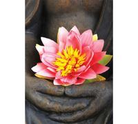 Cartes postales Lotus -- 15x10.5 cm