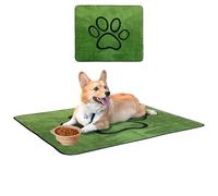 Cartes pour chiens lavables : tapis absorbants, non imperméables et imperméables pour dressage de chiots, ruines de maisons, canapé, lit, usage intérieur, chien