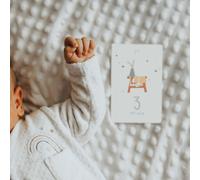 Cartes souvenirs les premiers mois de bébé doux souvenirs bleu