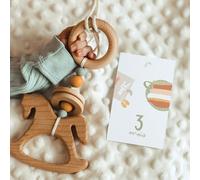 Cartes souvenirs les premiers mois de bébé instants magiques rose