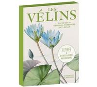 Cartes vélins Collectif (Auteur)
