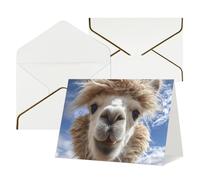 Cartes vierges Thinking of You avec enveloppes, alpaga lama, cartes vierges pour toutes les occasions, carte de condoléances, cartes de remerciement, cartes de vœux pour invitations de mariage, fête