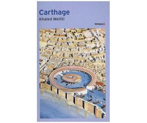 Carthage - Histoire D'une Métropole Méditerranéenne