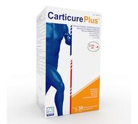 Carticure Plus 30 Sticks