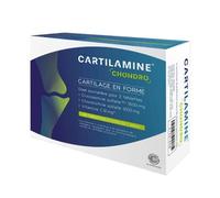 Cartilamine Chondro Cartilage En Forme 60 Tablettes