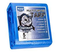 Cartman Bâche de Protection Exterieur, Multi-Usages, Imperméable et Robuste 10'X12'