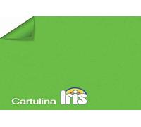 Cartoline A3 (29,7 x 42) Vert billard