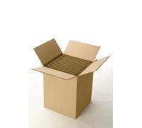 Carton 24 assiettes