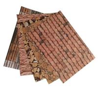 Carton 300g Natura 24x34cm 5 feuilles