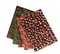 Carton 300g Natura 24x34cm 5 feuilles