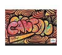 Carton à dessin CANSON Studio 32x45cm Edition Artiste multicolore