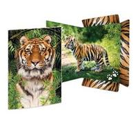 RNKVERLAG Horse Dreams 45381 Classeur à dessin 310 x 440 mm avec fermeture élastique pour format A3