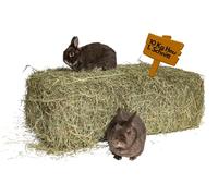 Carton-Bon marché I Foin 10 kg Balles de Foin pour cochons d'Inde Paille