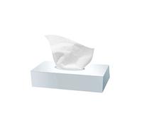 Carton de 40 boîtes de 100 mouchoirs Ecolabel en ouate de cellulose blanc à 2 plis - 643728