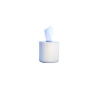 Carton de 6 bobines d' essuie tout blanc 450 feuilles