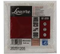 Carton entoilé - 5 x 5 cm - Lefranc Bourgeois G