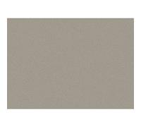 Carton Gris 760x1060x2.2 mm (lot de 5)
