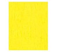 Carton photo folia banane jaune 50x70cm 300gr sachet de 25 feuilles G