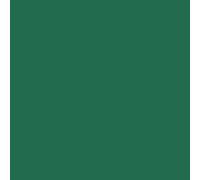 Clairefontaine Carte A4 210gsm épais Vert forêt foncé pour craft et imprimante - 50 pages