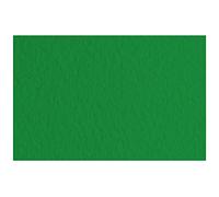 Carton Tiziano Billard 50 FG A4 160 GR 1PZ