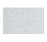 Carton Tiziano Genet 50 FG A4 160 GR 1PZ