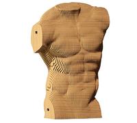 Cartonic - Torse Masculin - Constructeur en Carton 3D - Modèle dimensionnel - Cadeau pour Adultes et Enfants - Figure Artistique - Ensemble de Puzzle