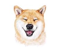 Cartoon Animals Children Temporary Tattoo Sticker Small Waterproof Fake Body Art Tattoos Cute Dog Cat(009)
