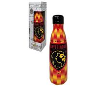 CARTOON Bouteille isotherme en acier inoxydable avec bouchon dévissable, gourde isotherme en acier inoxydable pour enfants et adolescents, 500 ml (Harry Potter, rouge)