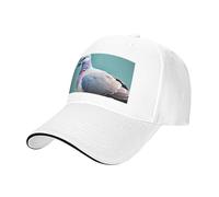 Cartoon Pigeon 4 Print Neutral Sandwich Hat Style Fit All Year Round Adjustable Baseball Caps Snug Secure, blanc, Taille unique