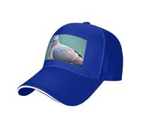 Cartoon Pigeon 4 Print Neutral Sandwich Hat Style Fit All Year Round Adjustable Baseball Caps Snug Secure, bleu, Taille unique
