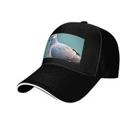 Cartoon Pigeon 4 Print Neutral Sandwich Hat Style Fit All Year Round Adjustable Baseball Caps Snug Secure, Noir , Taille unique