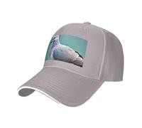 Cartoon Pigeon 4 Print Neutral Sandwich Hat Style Fit All Year Round Adjustable Baseball Caps Snug Secure, gris, Taille unique