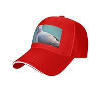 Cartoon Pigeon 4 Print Neutral Sandwich Hat Style Fit All Year Round Adjustable Baseball Caps Snug Secure, Rouge, Taille unique