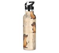 Cartoon Platypus - Bouteilles d'eau étanches et sans BPA - 591 ml avec pailles - Double paroi sous vide pour eau, lait, jus, école, camping, sport - Marron