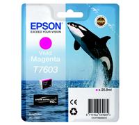 Epson Cartouche d'encre traceur SC-P600 – Vivid Magenta – 25,9 ml – T7603