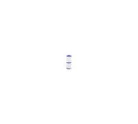 Bestway Cartouche Filtrante (II)