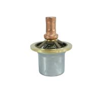 Cartouche de vanne thermostatique 250028-762 de remplacement, originale
