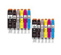 Cartouche d'encre PGI-530 CLI-531, Compatible avec Canon, TS8750 | PGI-530XL CLI-531XL pour TS8751, noir magenta cyan jaune photonoir gris(2 SET 12PCS)
