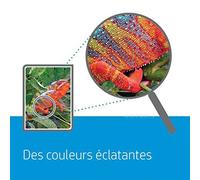 Cartouche d'encre photo HP 772 de 300 ml magenta clair (CN631A)