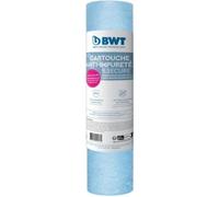 Cartouche filtrante BWT - B.SECURE - anti-impuretés 25µm - antibact - Compatible avec tous les filtres 10