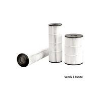 Cartouche filtrante de rechange pour filtre c0225euro cx0225re