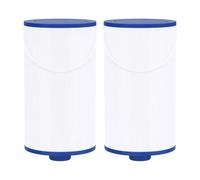 Cartouche Filtrante FC-2402 For Spa, Compatible Avec Watkins, 303279 PFF42TC-P4 78460 FC-2402(2pcs)