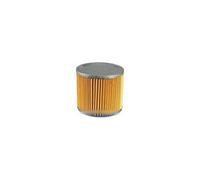 Cartouche filtrante s21 pour aspirateur aquavac