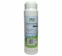 Cartouche filtrante vide de 10 pouces pour les médias