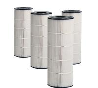 Cartouche Hayward pour Swimclear multi éléments - C3030/C4030/C5030/C7030